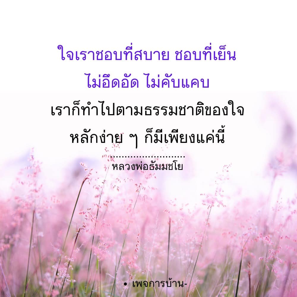 ค้นพบวิธีการใช้ชีวิตที่สบายและเย็นตามธรรมชาติของใจ ผ่านคำสอนของหลวงพ่อธัมมชโย เรียนรู้หลักง่าย ๆ ที่จะช่วยให้คุณมีชีวิตที่ไม่อึดอัดและไม่คับแคบ