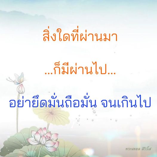 การ์ด No.11274:พระนพดล สิริวํโส