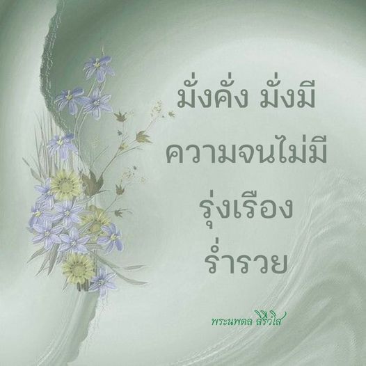การ์ด No.8877:พระนพดล สิริวํโส