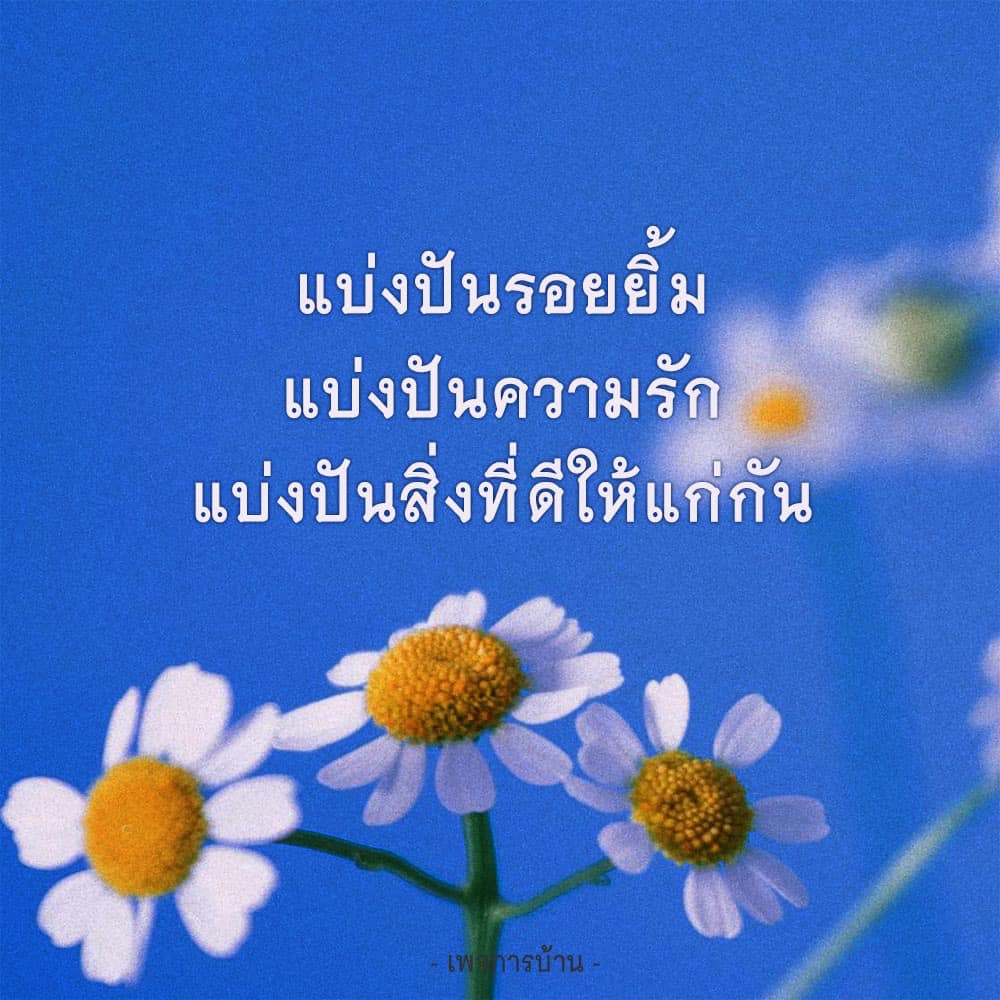 การ์ด No.13814:กำลังใจให้คุณ