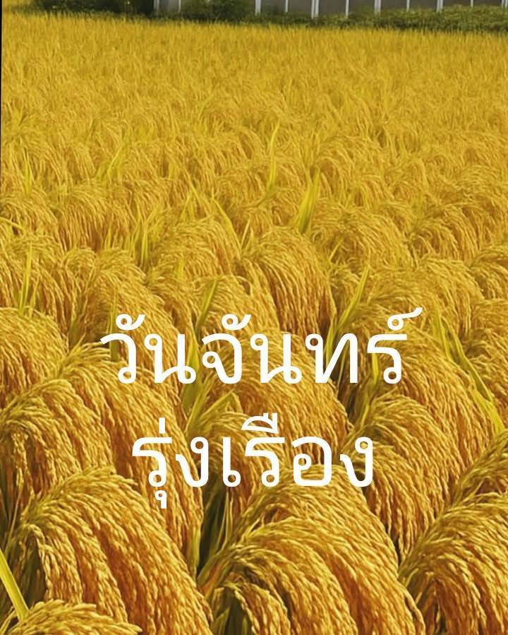  อีการ์ดภาพสวัสดียามเช้าส่งมอบเพื่อเป็นการทักทายให้กำลังใจเพื่อมิตรภาพในเช้าวันใหม่ของทุกๆ วัน