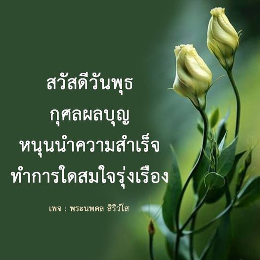 การ์ด No.9327:ภาพสวัสดียามเช้า