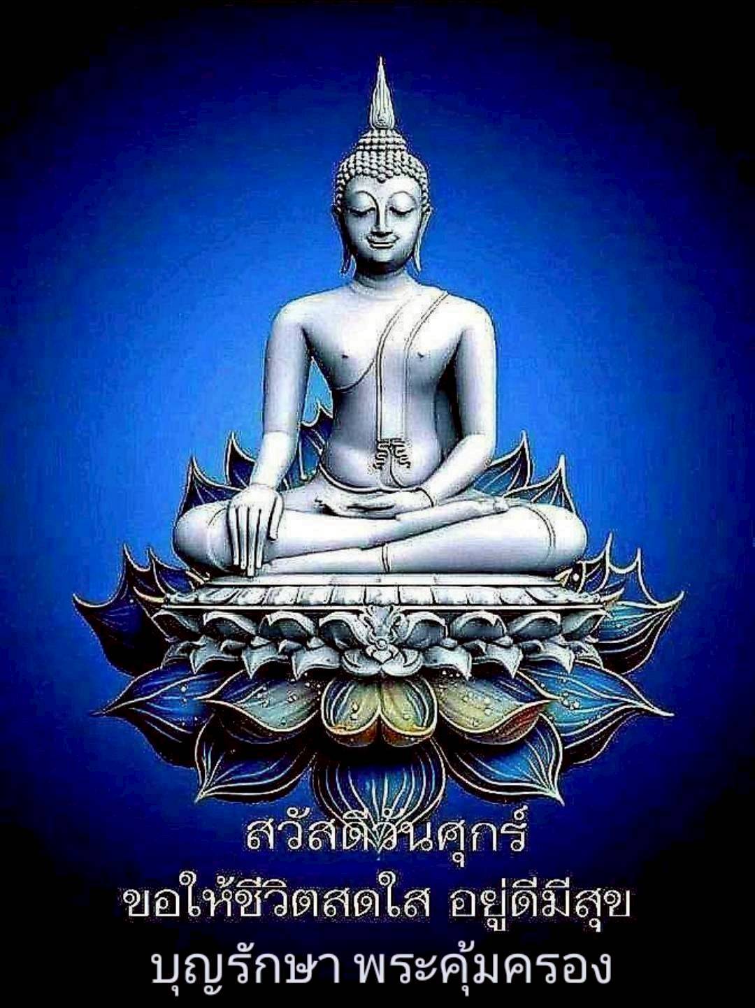 การ์ด No.15711:ทั่วไป