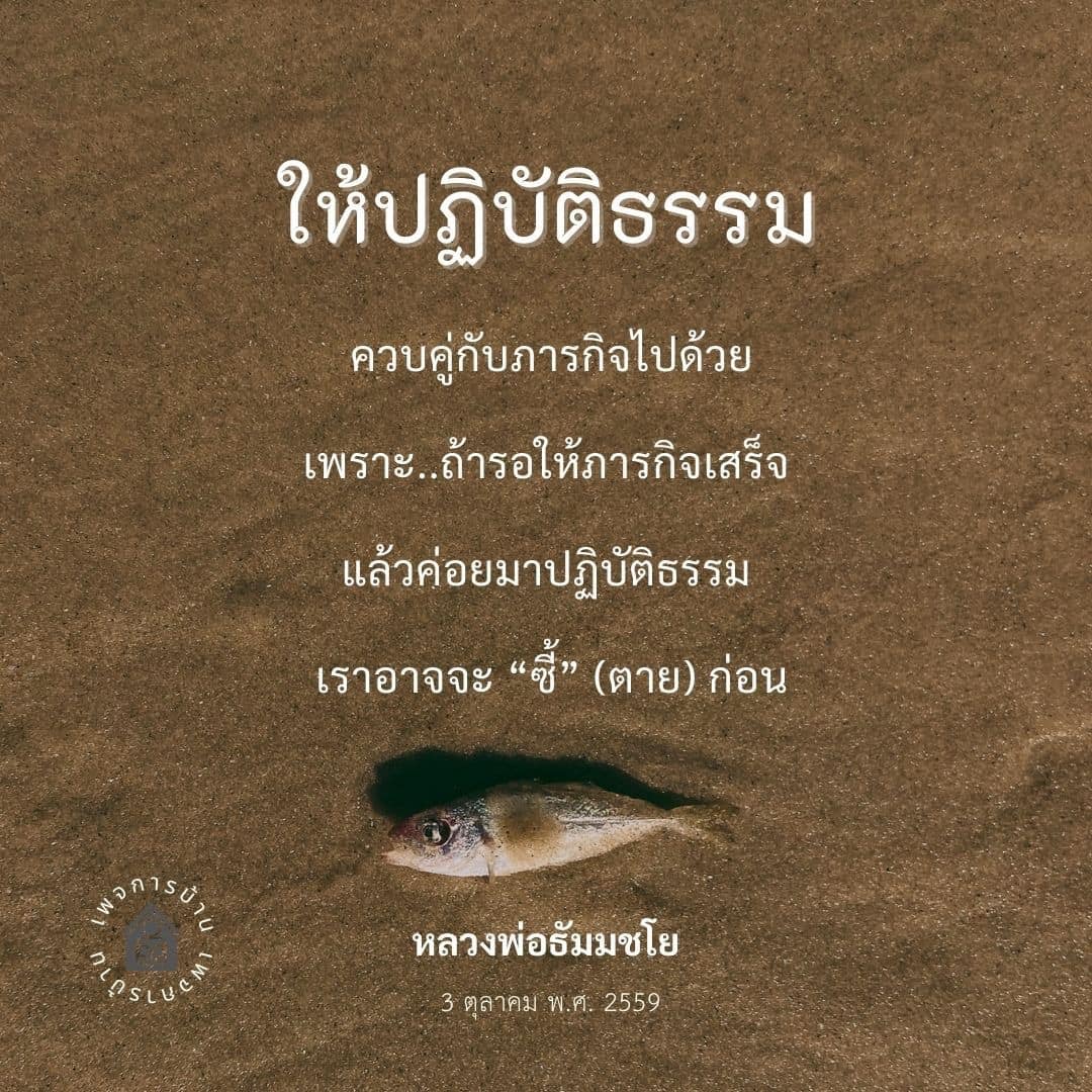 เรียนรู้วิธีการปฏิบัติธรรมควบคู่กับการทำงานและภารกิจในชีวิตประจำวัน เพื่อสร้างความสมดุลและความสุขที่ยั่งยืนในชีวิต โดยเฉพาะอย่างยิ่งจากคำสอนของหลวงพ่อธัมมชโย