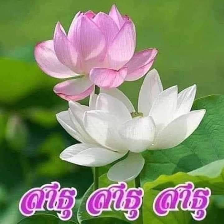 สวดมนต์บทธัมมจักกัปปวัตตนสูตรชีวิตจะมีแต่ความสงบสุขร่มเย็น