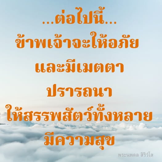 การ์ด No.11794:พระนพดล สิริวํโส