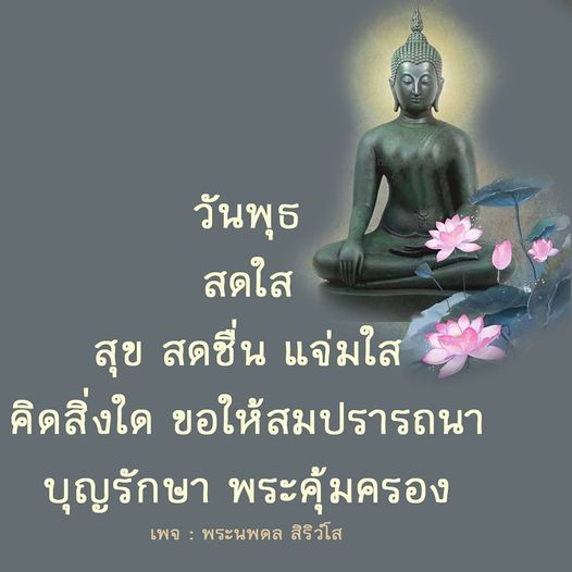 การ์ด No.9326:ภาพสวัสดียามเช้า