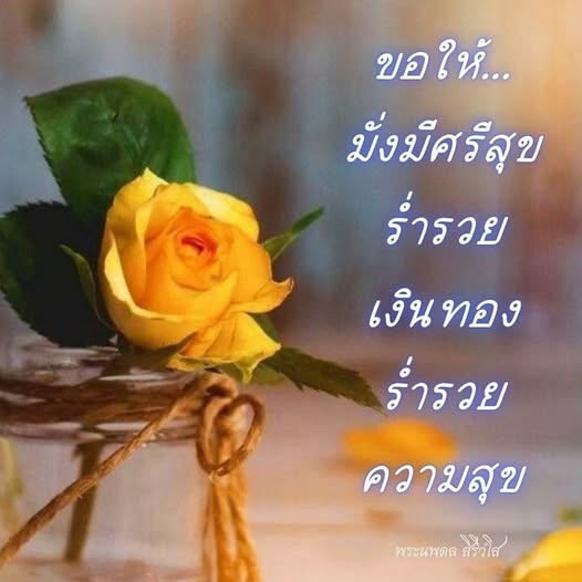 การ์ด No.13991:ภาพสวัสดียามเช้า
