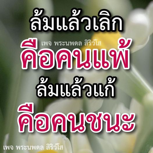 การ์ด No.10250:พระนพดล สิริวํโส