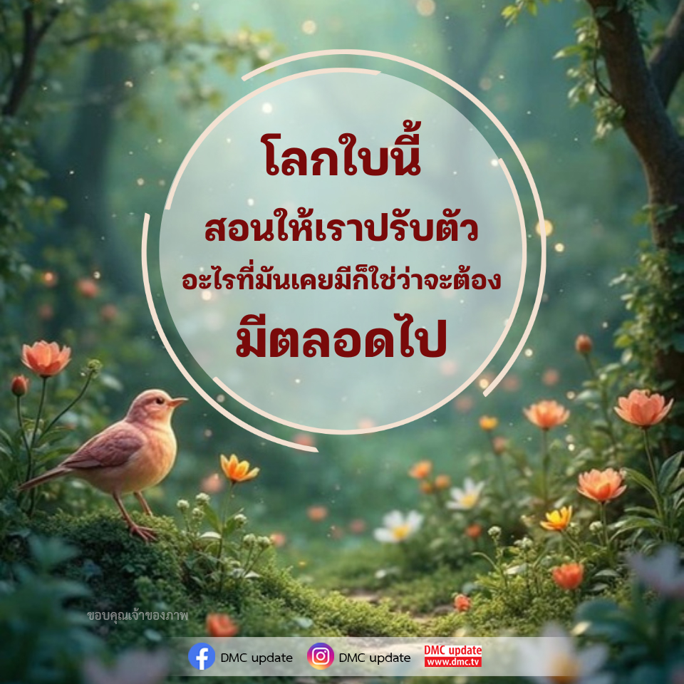 การปรับตัวในโลกที่เปลี่ยนแปลง - DMC Update