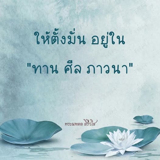 การ์ด No.14503:พระนพดล สิริวํโส