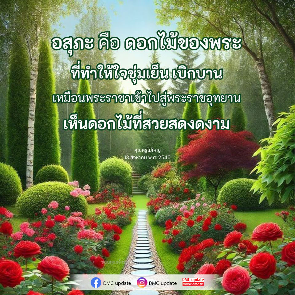 ค้นพบความหมายและความสำคัญของอสุภะ ดอกไม้ที่ทำให้ใจชุ่มเย็น เบิกบาน ร่วมสัมผัสประสบการณ์ความงามในพระราชอุทยาน พร้อมเรียนรู้จากบทเรียนของคุณครูไม่ใหญ่ และติดตามข่าวสารอัปเดตจาก DMC.