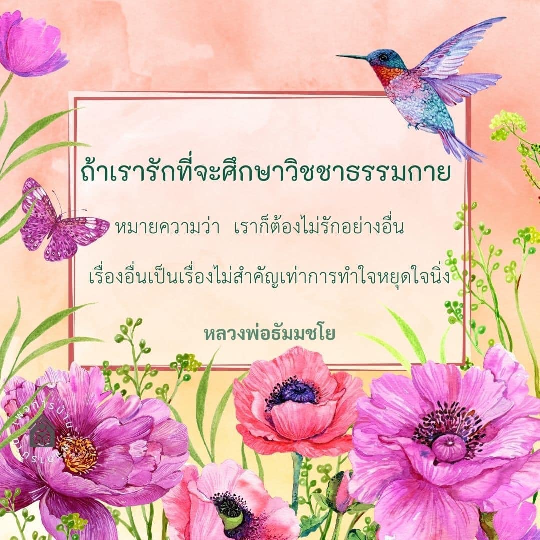 ค้นพบความสำคัญของการศึกษาวิชชาธรรมกายและการทำใจหยุดใจนิ่งตามแนวทางของหลวงพ่อธัมมชโย เพื่อสร้างความสงบและพัฒนาจิตใจให้แข็งแกร่งยิ่งขึ้น