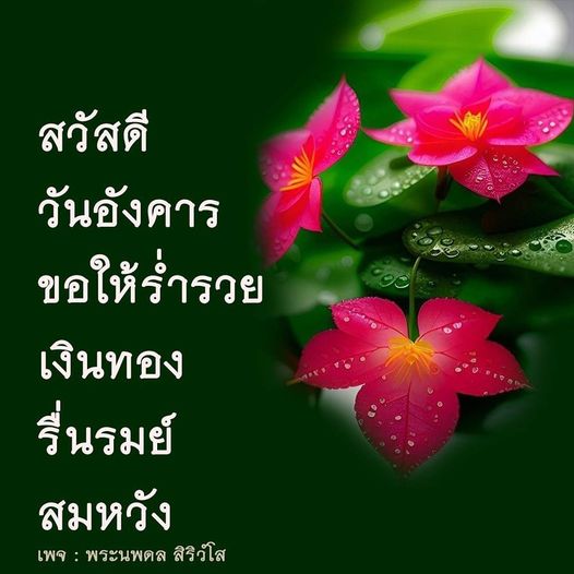 การ์ด No.9749:ภาพสวัสดียามเช้า