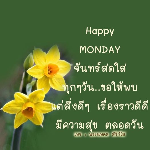 จันทร์สดใส: พบความสุขในทุกวัน