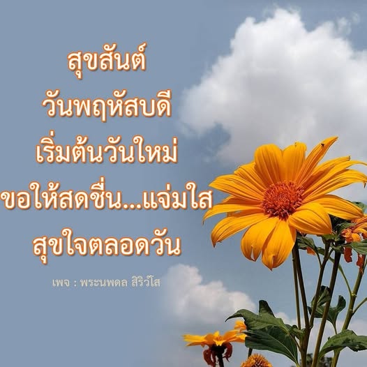 การ์ด No.14158:ภาพสวัสดียามเช้า