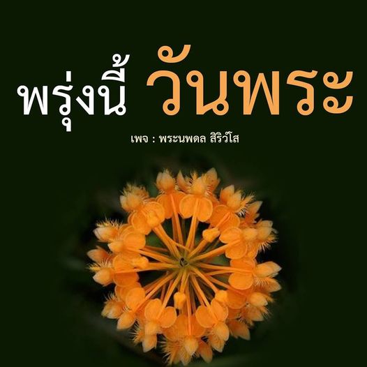 การ์ด No.11148:วันพระ