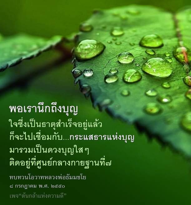 ความบุญที่ธาตุสำเร็จและเชื่อมต่อกับกระแสธารแห่งบุญ เป็นดวงบุญใสๆ ที่ติดอยู่ที่ศูนย์กลางกายฐาน โดยที่เราสามารถทบทวนโอวาทของพระอรหันต์ พ่อธัมมชโย ในวันที่ 8 กรกฎาคม พ.ศ. ๒๕๕๐ บนเพจ 'ต้นกล้าแห่งความดี'