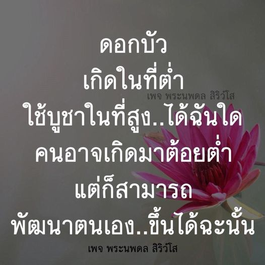 ดอกบัวเป็นสัญลักษณ์ที่สื่อถึงการเติบโตและการพัฒนาตนเอง แม้จะเกิดในที่ต่ำ แต่สามารถเติบโตขึ้นสู่ที่สูงได้ เพจพระนพดล สิริวํโส แนะนำการใช้ดอกบัวในการบูชาเพื่อเสริมสร้างพลังใจและการพัฒนาตนเอง