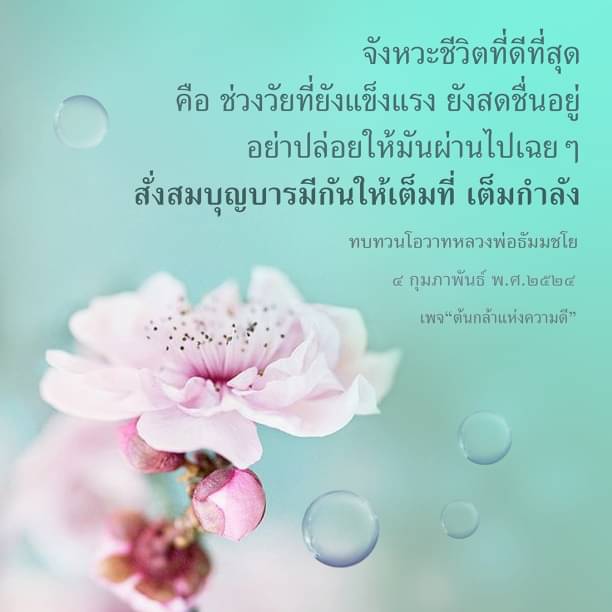 จังหวะชีวิตที่ดีที่สุด: ความสดชื่นและกำลังใจในการทบทวนโอวาทหลวงพ่อธัมมชโย