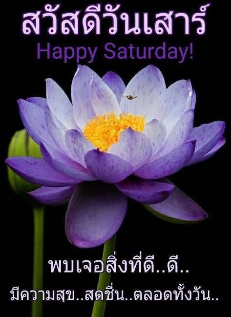  อีการ์ดภาพสวัสดียามเช้าส่งมอบเพื่อเป็นการทักทายให้กำลังใจเพื่อมิตรภาพในเช้าวันใหม่ของทุกๆ วัน