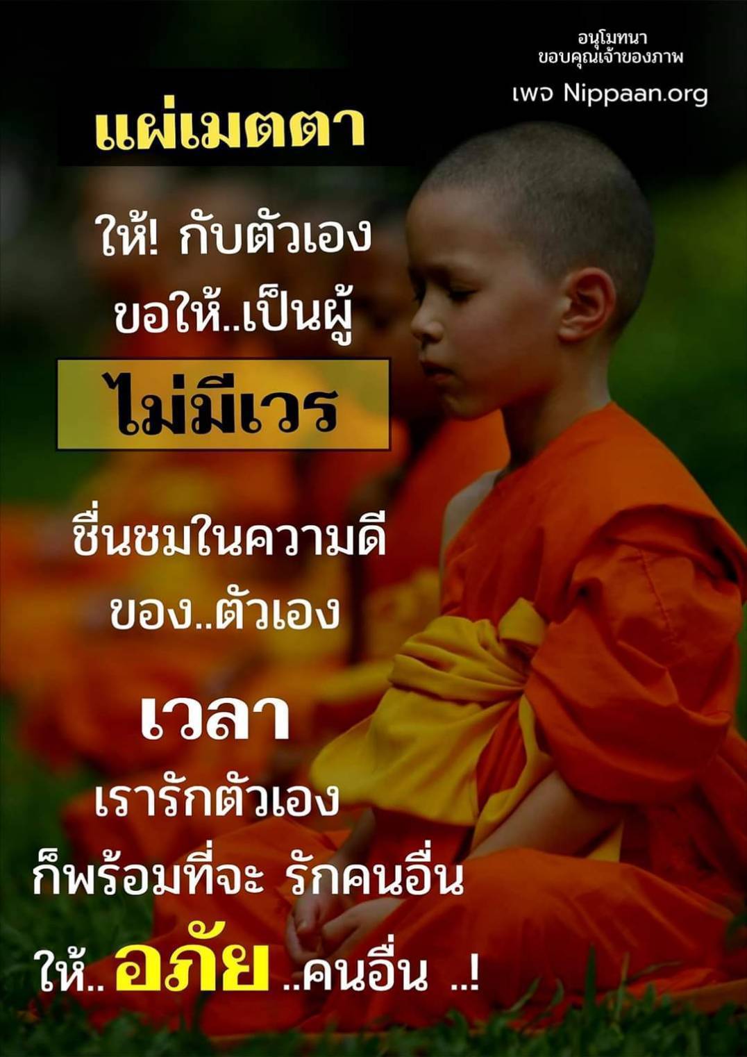 แผ่เมตตาให้กับตัวเอง - รักและให้อภัยเพื่อชีวิตที่ดีขึ้น