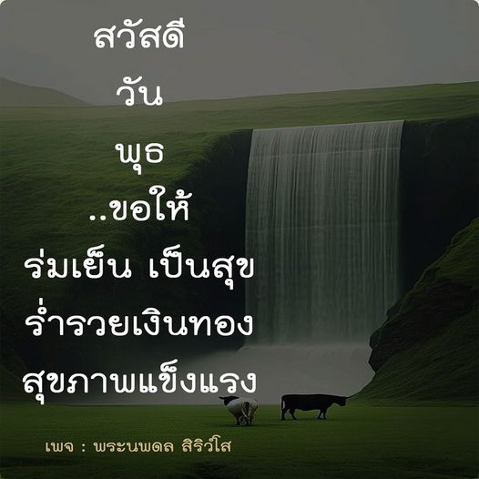 การ์ด No.9591:ภาพสวัสดียามเช้า