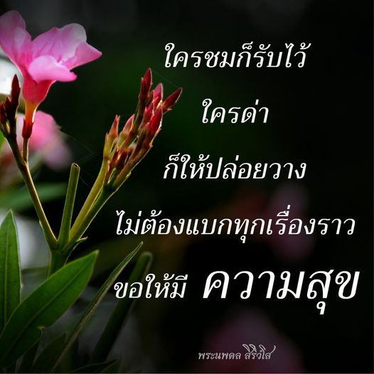 การ์ด No.10104:พระนพดล สิริวํโส