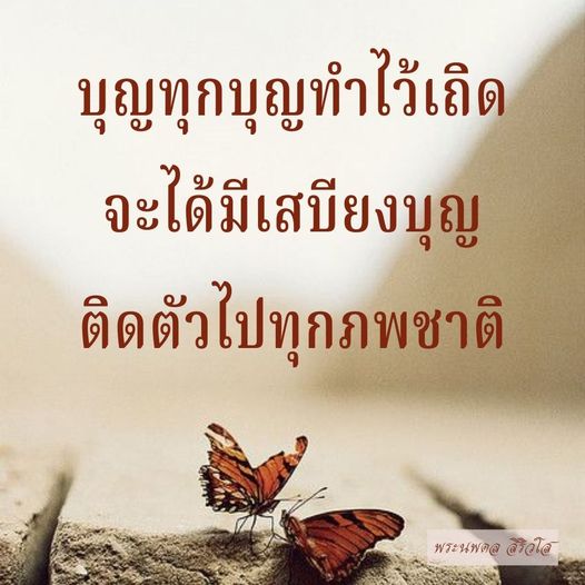การ์ด No.11547:พระนพดล สิริวํโส