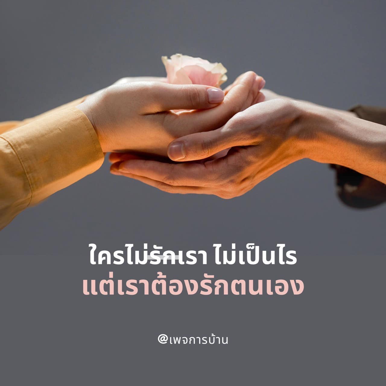 การ์ด No.8563:กำลังใจให้คุณ