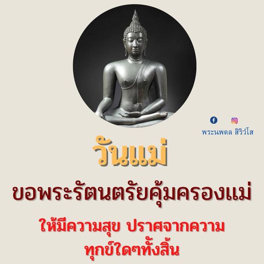 การ์ด No.8555:พระนพดล สิริวํโส