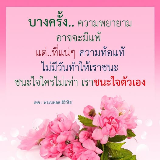 ค้นพบแรงบันดาลใจในการพัฒนาตนเองจากเพจ พระนพดล สิริวโส ที่สอนให้เราเข้าใจว่าความพยายามและการชนะใจตัวเองคือกุญแจสู่ความสำเร็จ แม้จะมีอุปสรรค แต่การไม่ท้อแท้คือหนทางสู่ชัยชนะที่แท้จริง.