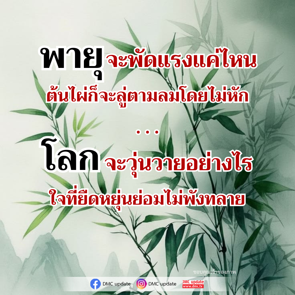 พายจะพัดแรงแค่ไหน: การปรับตัวในโลกที่วุ่นวาย