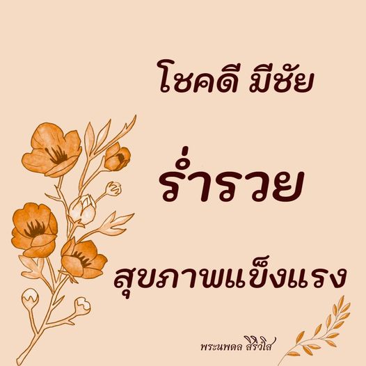 การ์ด No.10034:พระนพดล สิริวํโส