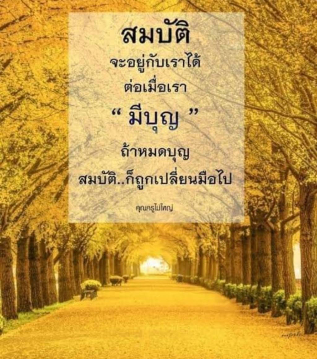 การ์ด No.10289:คำสอนหลวงพ่อธัมมชโย
