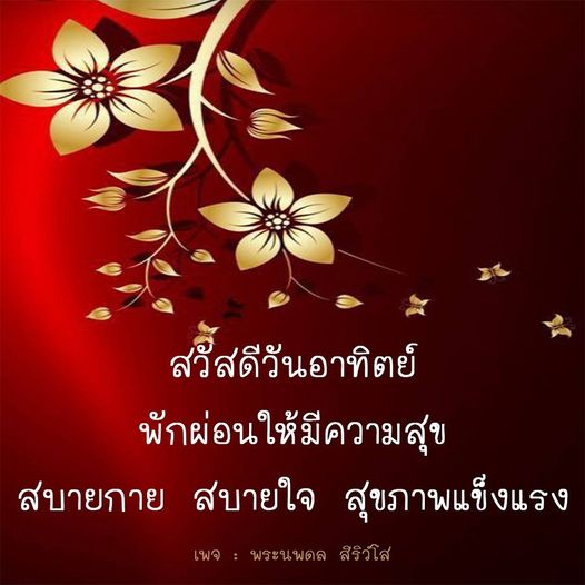 การ์ด No.8869:ภาพสวัสดียามเช้า