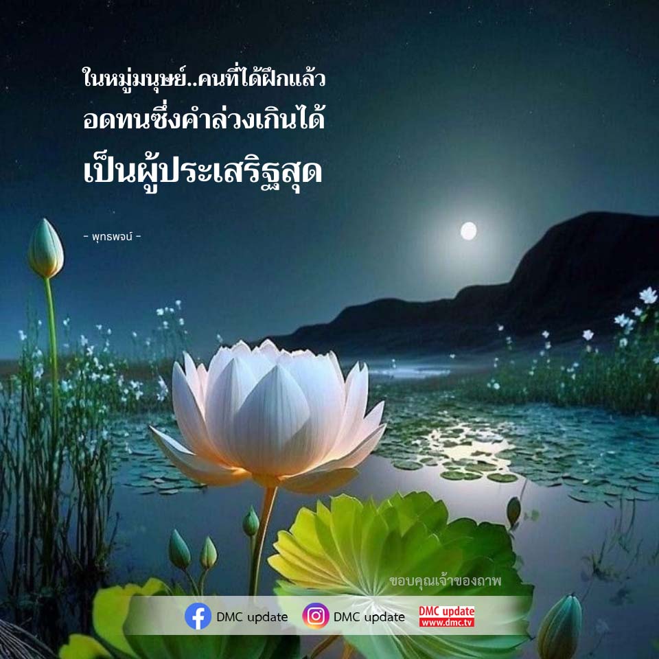 การฝึกฝนและความอดทนในพุทธศาสนา - DMC Update