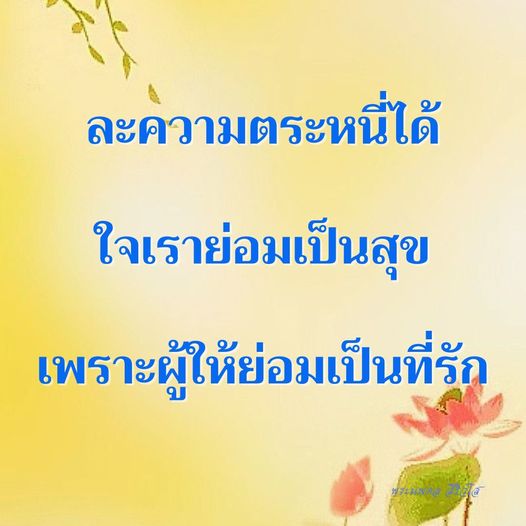 การ์ด No.11267:พระนพดล สิริวํโส