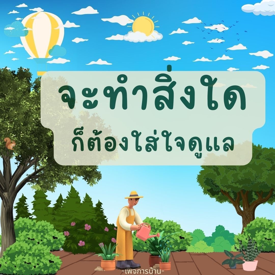 ภาพ No.17888:ทั่วไป
