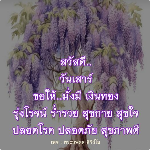 ขอให้ทุกท่านในวันเสาร์นี้มีความมั่งมีเงินทอง ร่ำรวย สุขกาย สุขใจ ปลอดโรค ปลอดภัย และมีสุขภาพดีจากพระนพดล สิริวํโส