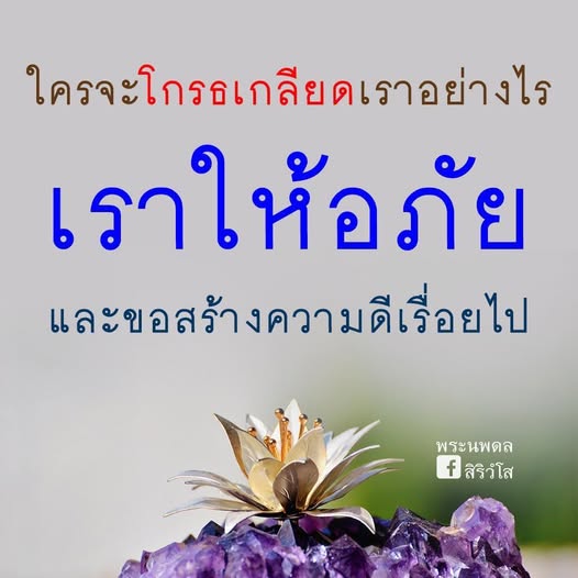 การ์ด No.14516:พระนพดล สิริวํโส