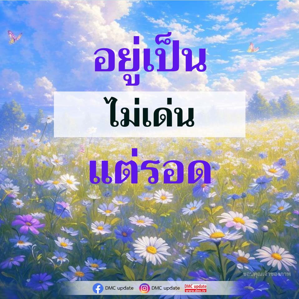 ภาพ No.17907:ทั่วไป