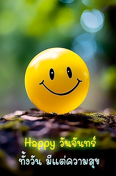 ภาพ No.16281:ทั่วไป