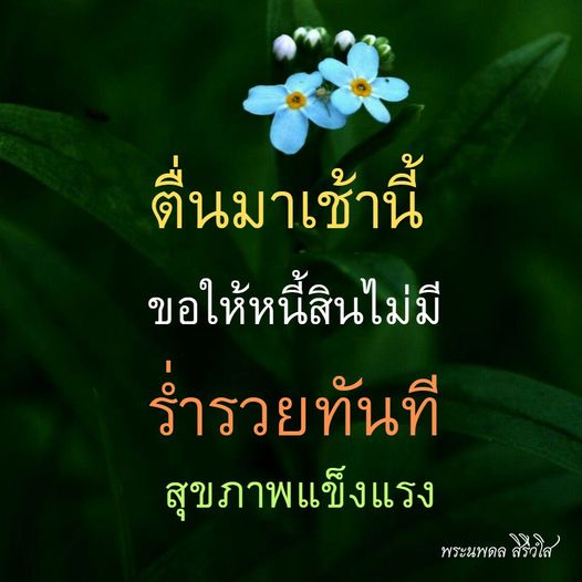 การ์ด No.9319:ภาพสวัสดียามเช้า
