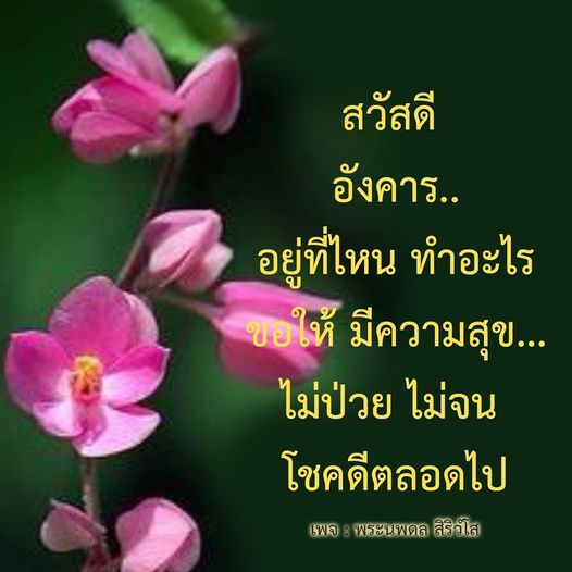 การ์ด No.11364:ภาพสวัสดียามเช้า