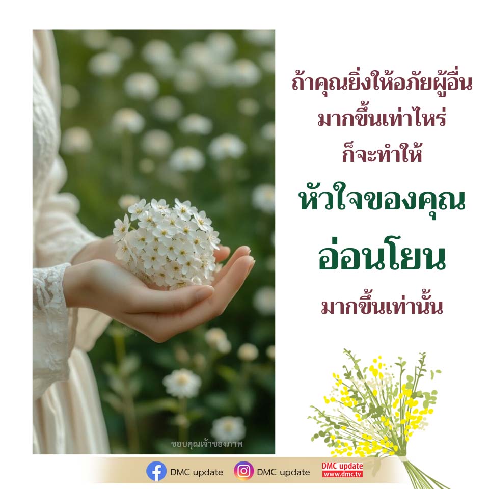 การให้อภัย: เส้นทางสู่หัวใจที่อ่อนโยน