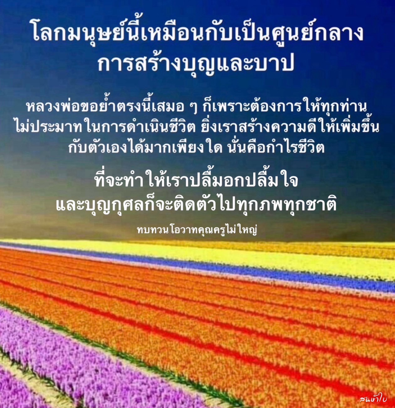 เรียนรู้เกี่ยวกับการสร้างบุญและบาปในชีวิตประจำวัน พร้อมคำสอนจากหลวงพ่อที่ช่วยให้คุณไม่ประมาทในการดำเนินชีวิต และสร้างความดีเพื่อเป็นกำไรชีวิตที่จะติดตัวไปทุกภพทุกชาติ