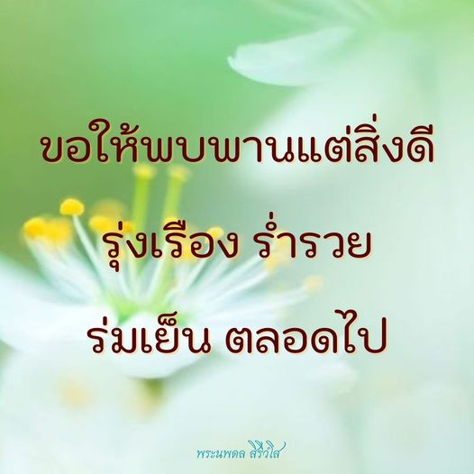 การ์ด No.9748:พระนพดล สิริวํโส