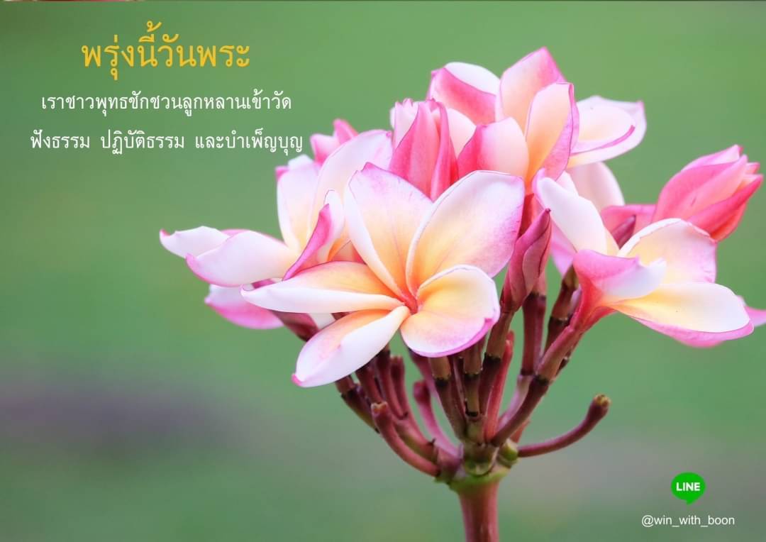 ภาพ No.6287:วันพระ