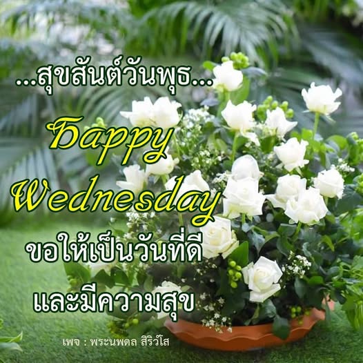 การ์ด No.14459:ภาพสวัสดียามเช้า